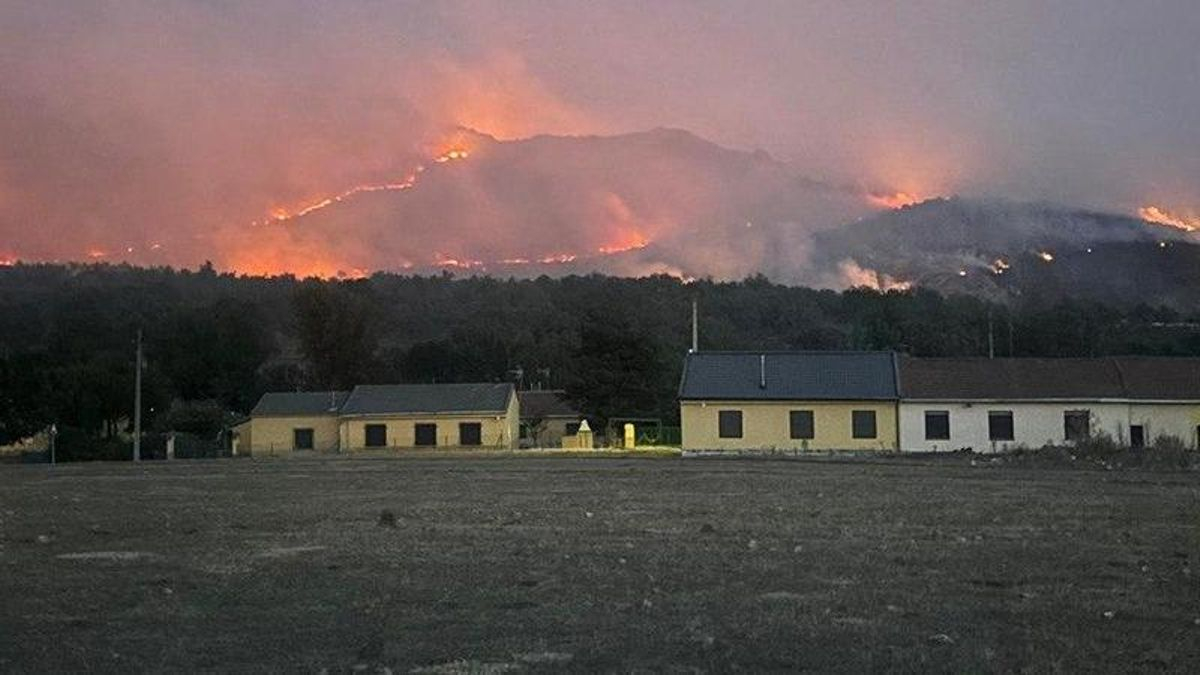 Los ganaderos en el incendio de La Mierla, nerviosos y desesperados: “Mis animales llevan sin comer ni beber tres días ya”