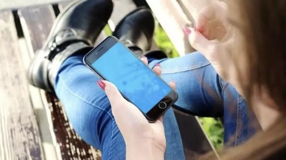 La red criminal consiguió materializar distintas estafas por un importe de 4.723 euros a través de WhatsApp.