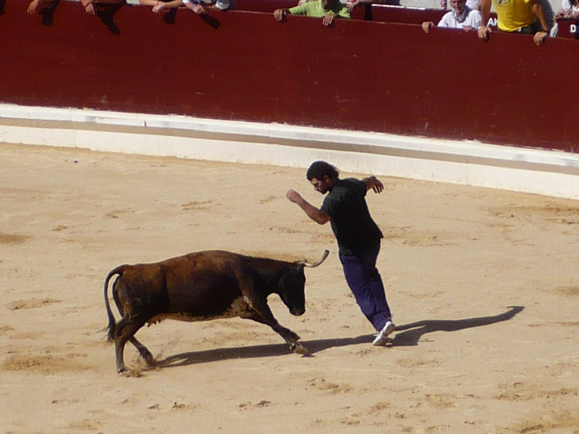 Recortadores en el Iradier Arena en 2008