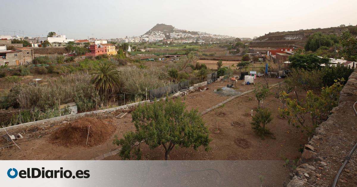 Paid €8,809 as a deposit for land, but the owner defaulted; after seven years, he has only recovered €210.