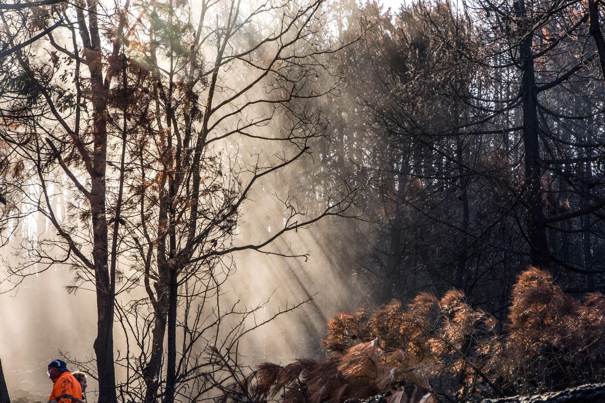 Una bella imagen de la fotógrafa María Jesús González García que resume la intensidad emocional de la jornada voluntaria en el valle del Eria.