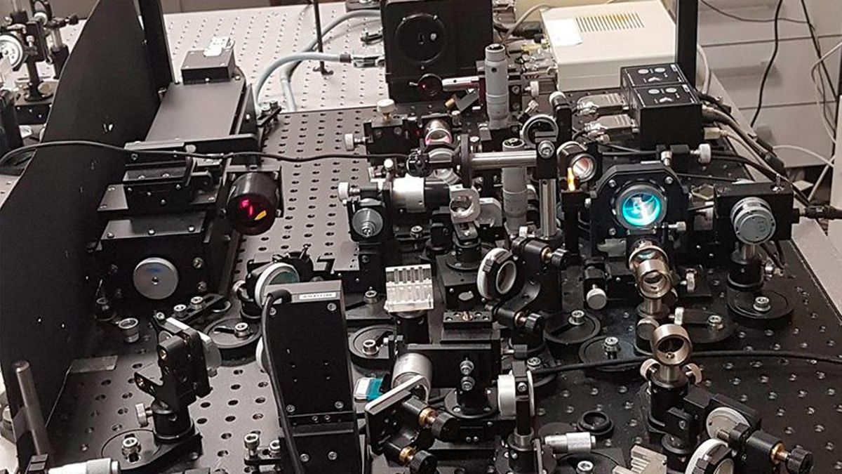 Page avanza un nuevo Plan de Investigación Científica y Técnica que movilizará “mil millones de euros”