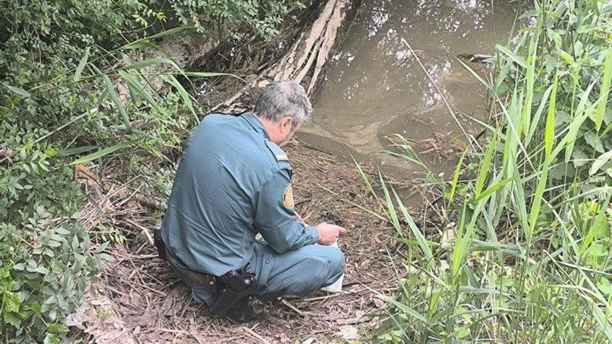 La Guardia Civil investiga a un hombre por caza ilegal de aves protegidas en la localidad navarra de Lodosa