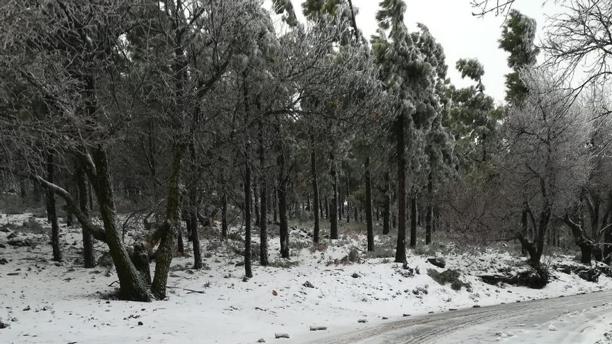 El Cabildo de Gran Canaria declara la alerta por nieve