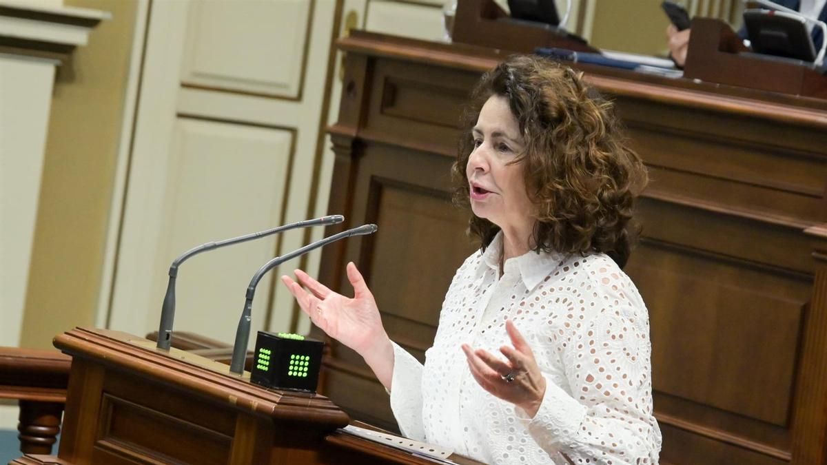 Asián (PP) defiende su "lealtad" al Gobierno canario y el PSOE la acusa de anteponer los intereses de su partido