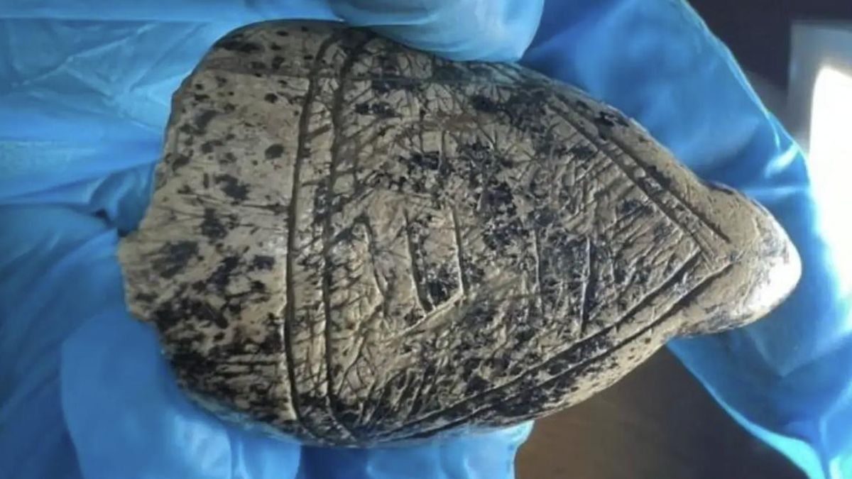 Los mamuts tenían la respuesta: el interior de sus colmillos explica las enigmáticas formas de unas 'venus' de hace 18.000 años