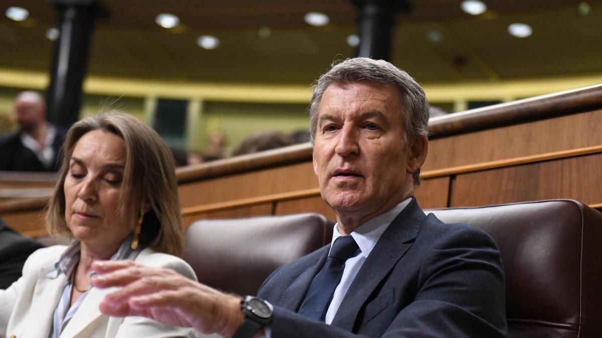 El líder de la oposición, Alberto Núñez Feijóo, durante la última sesión de control al Gobierno en el Congreso.