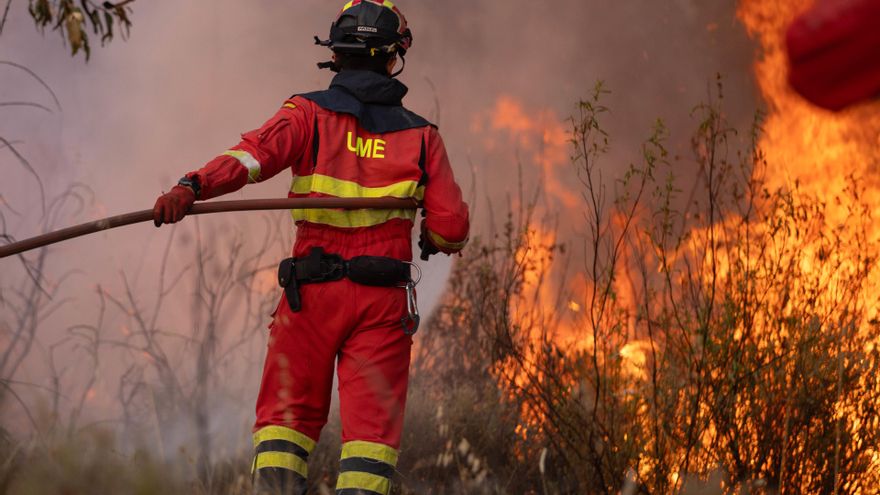 Evolución "preocupante" del incendio de Niebla en Sevilla: las llamas avanzan hacia nuevas zonas de Aznalcóllar