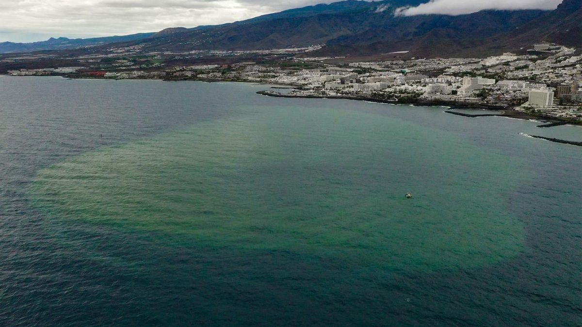 "Bañarse en Canarias es un riesgo sanitario", advierte ATAN