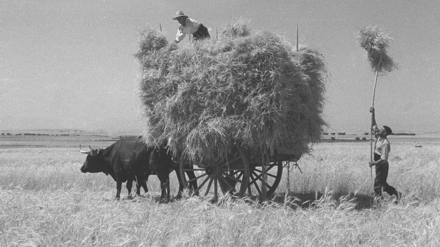 La economía española tras la muerte de Franco: un viaje sin retorno hacia la modernidad