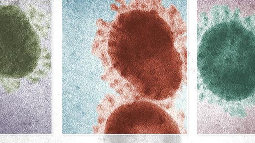 España pelea por llegar al 10% de secuenciación que recomienda Europa para hallar variantes como ómicron