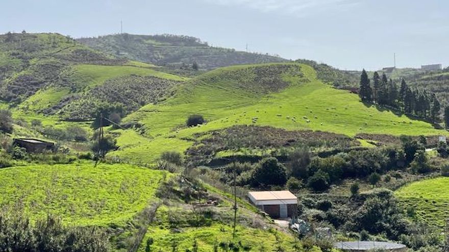 Paisaje de Gran Canaria