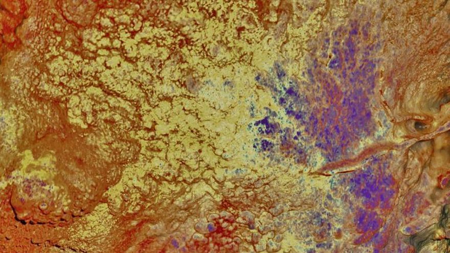 ¿Están las manos pintadas más antiguas del mundo en la Cueva de Maltravieso de Cáceres?