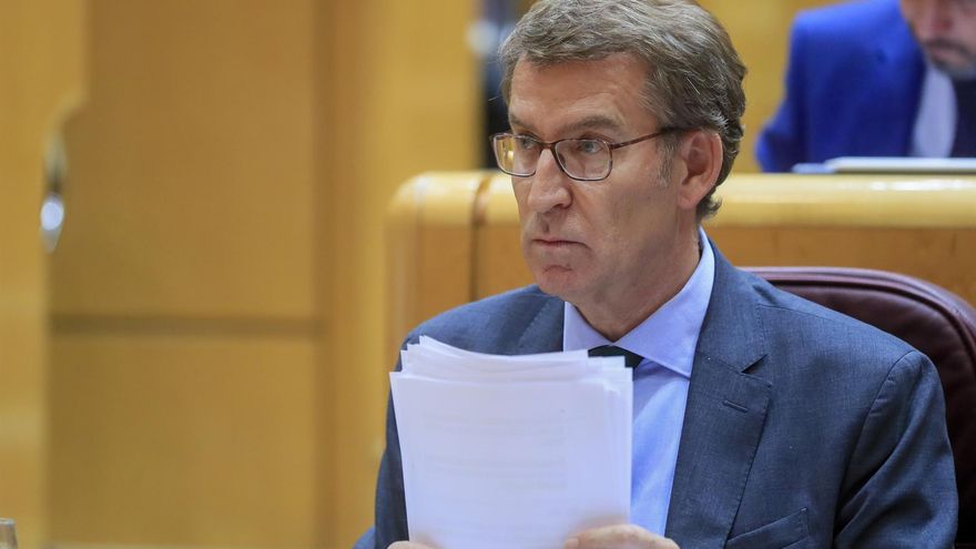 El líder del PP, Alberto Núñez Feijóo, asiste al pleno del Senado este martes en Madrid