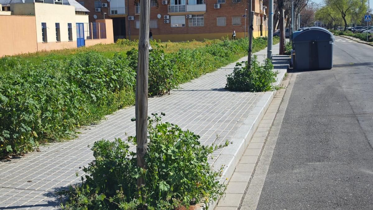 Deterioro y abandono en el Parque Azahara