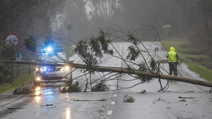 Un árbol corta la carretera en Negreira, A Coruña, este domingo.