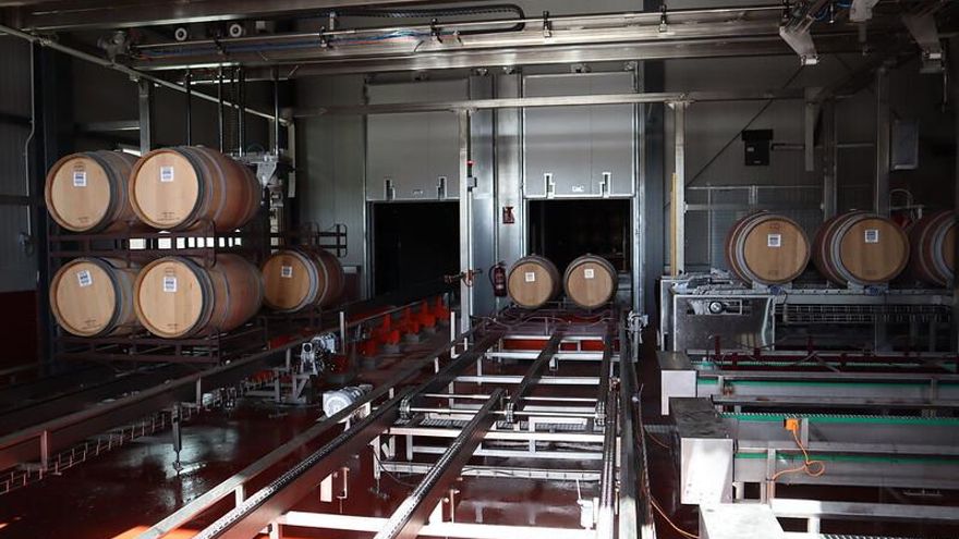 Sala de barricas en Félix Solís Avantis