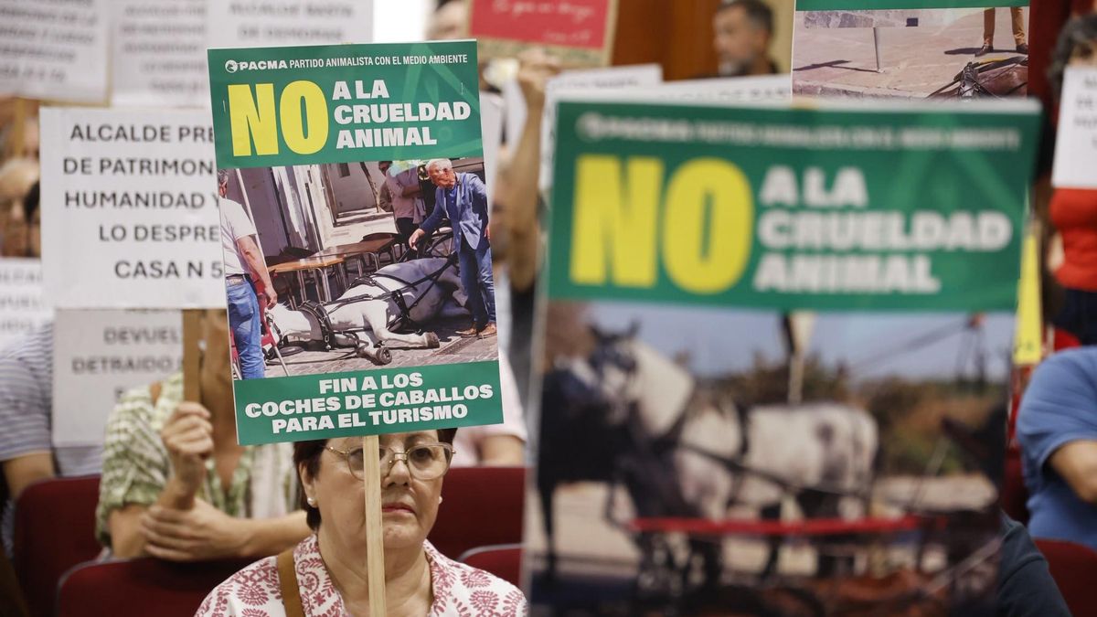 Protestas en el Pleno del Ayuntamiento de Córdoba.