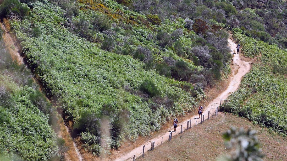 Un grupo de peregrinos sube al Cebreiro en el Camino de Santiago por El Bierzo, archivo.