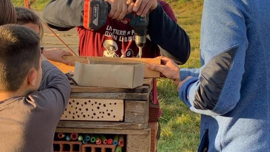 Los hoteles de insectos afloran en León para proteger a especies polinizadoras en peligro por el abuso de pesticidas