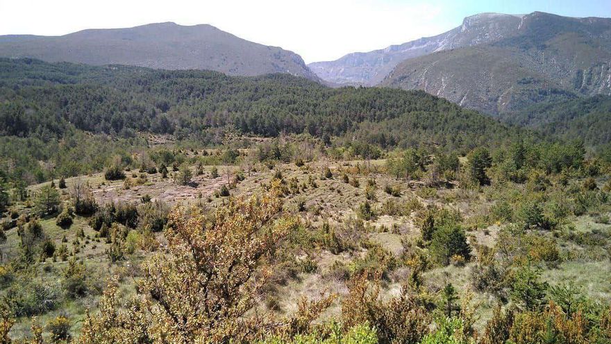 La carretera que atravesará un parque natural en Huesca avanza entre críticas de los ecologistas