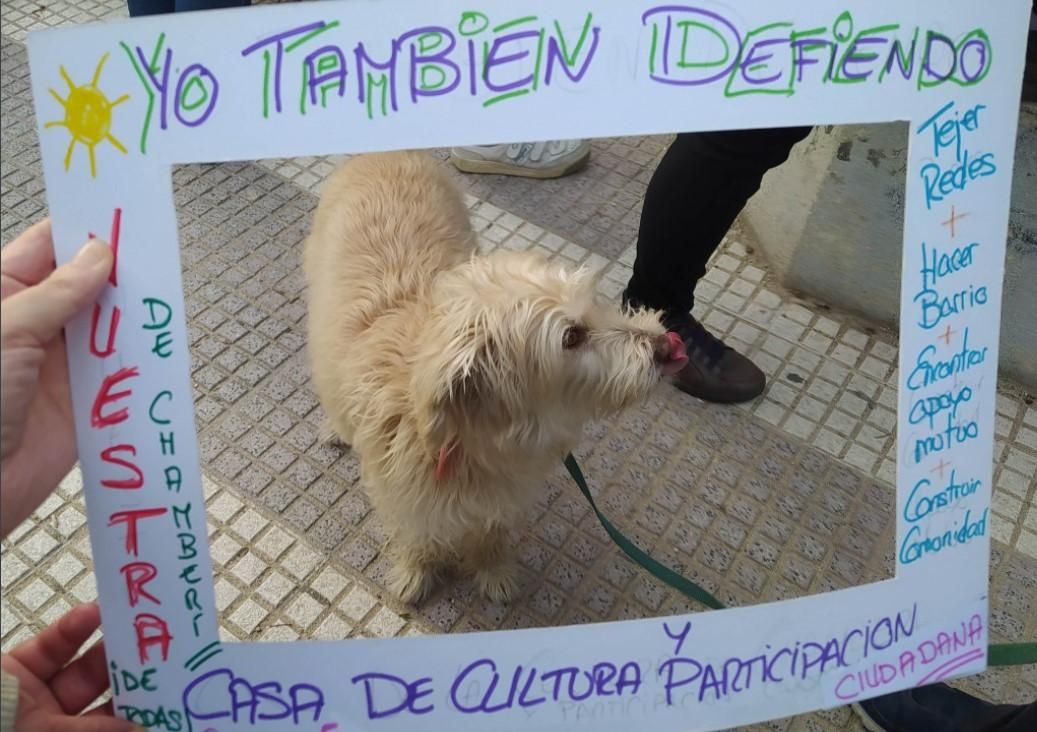 Concentración Casa Cultura - marco (Gacela1980)