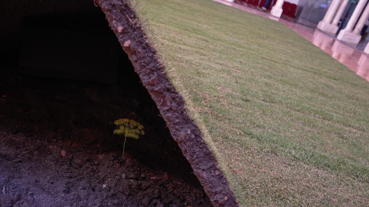FLORA 2026 - FLOVER NYC (Diputación de Córdoba)