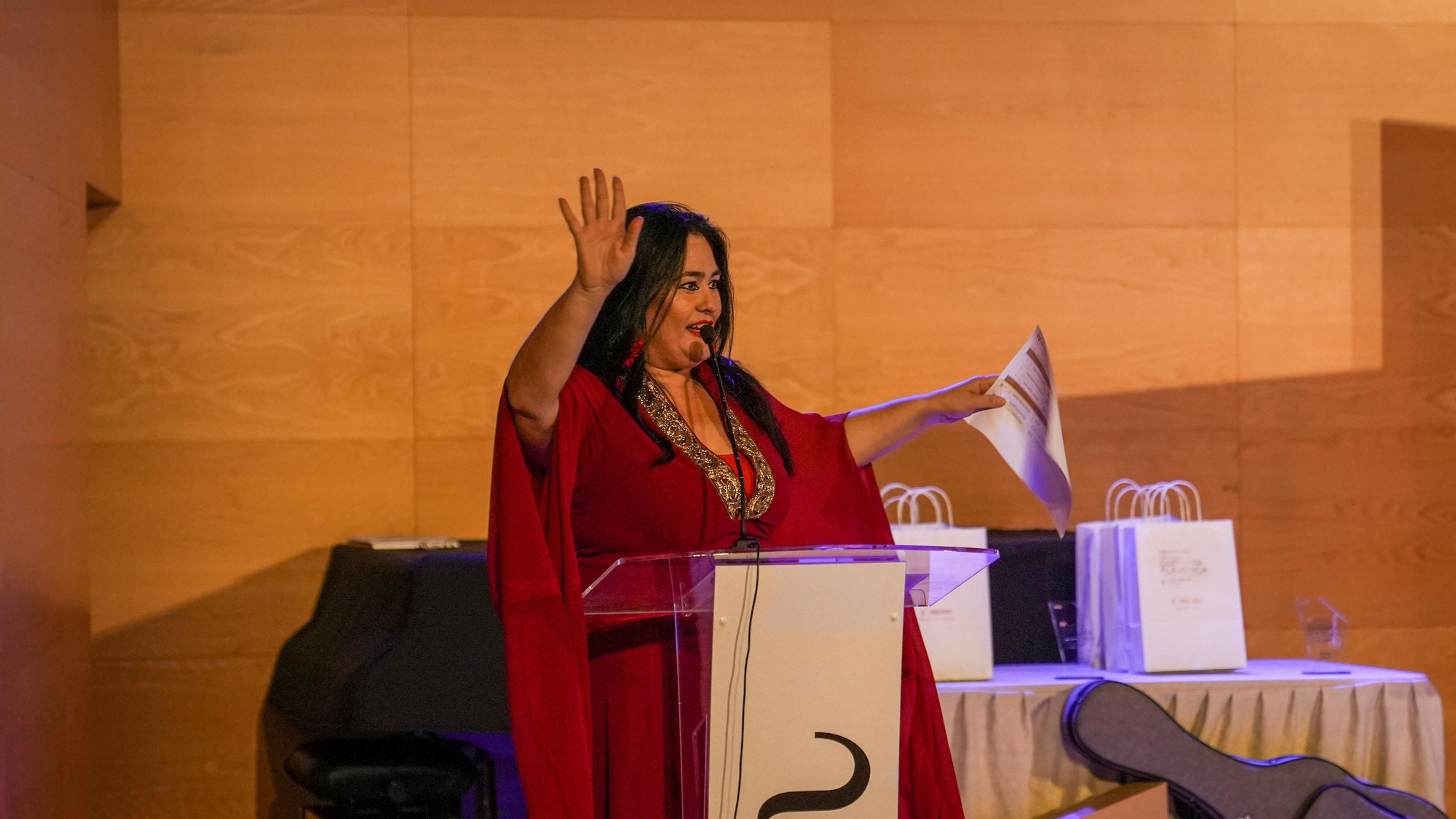 IV Certamen Nacional de Guitarra Flamenca 'Músico Ziryab'