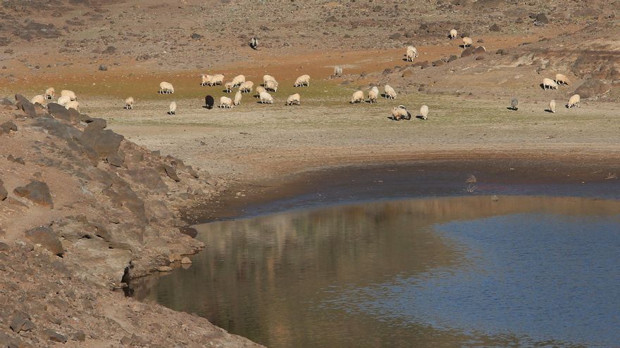 Las presas no mienten: un largo periodo de sequía castiga a Gran Canaria y a sus campos