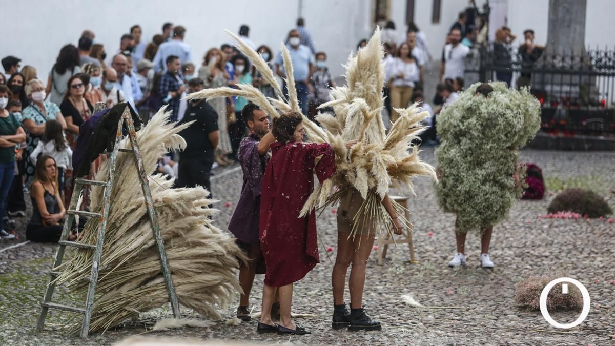 Flora convierte la plaza del Cristo de los Faroles en una 'performance' vegetal