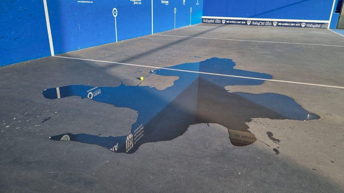 Ratas, palomas y goteras: la federación de frontenis y pelota valenciana estalla contra el abandono de las instalaciones municipales