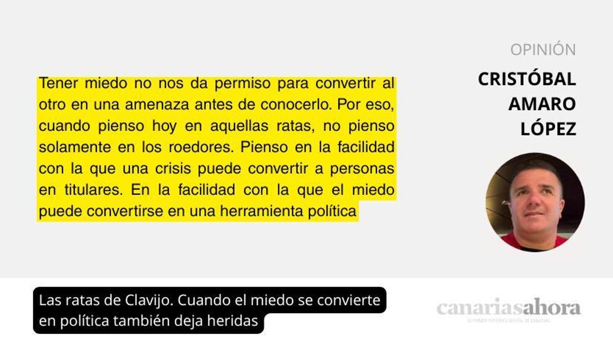 Las ratas de Clavijo. Cuando el miedo se convierte en política también deja heridas