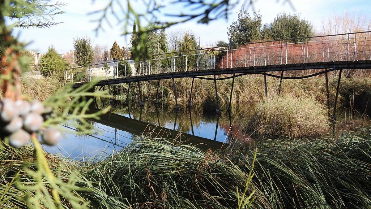 Educación ambiental, biodiversidad y agua: los 13 premiados por su compromiso por la sostenibilidad en Castilla-La Mancha