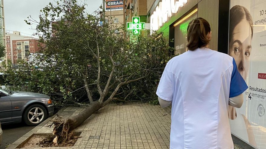 EuropaPress 6310610 imagen arbol caido ciudad valencia
