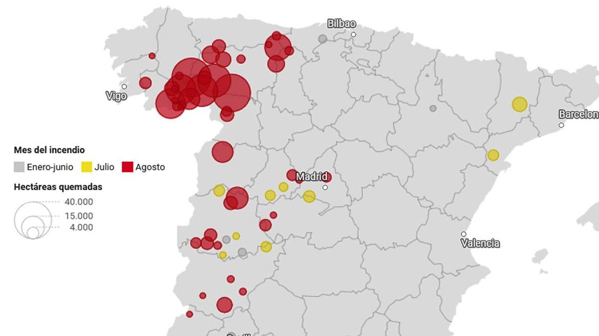 La Región Leonesa acumula más del 92% de la tierra calcinada por los grandes incendios de 2025 en la autonomía