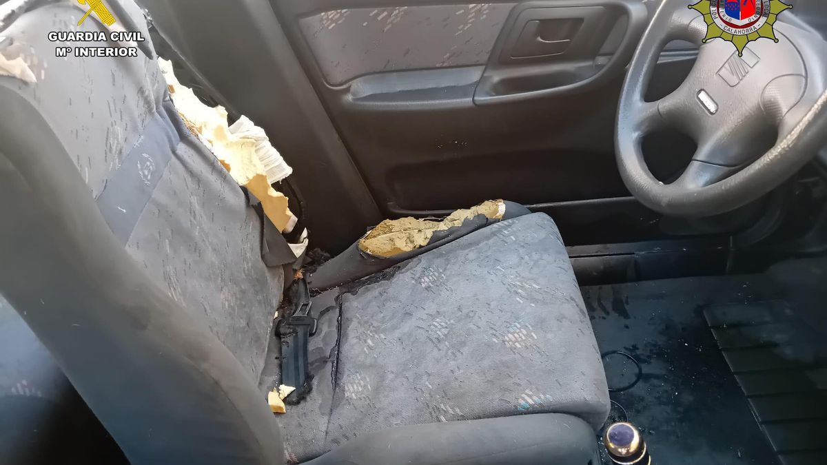 Muere un galgo abandonado en un coche a 46 grados en Calahorra