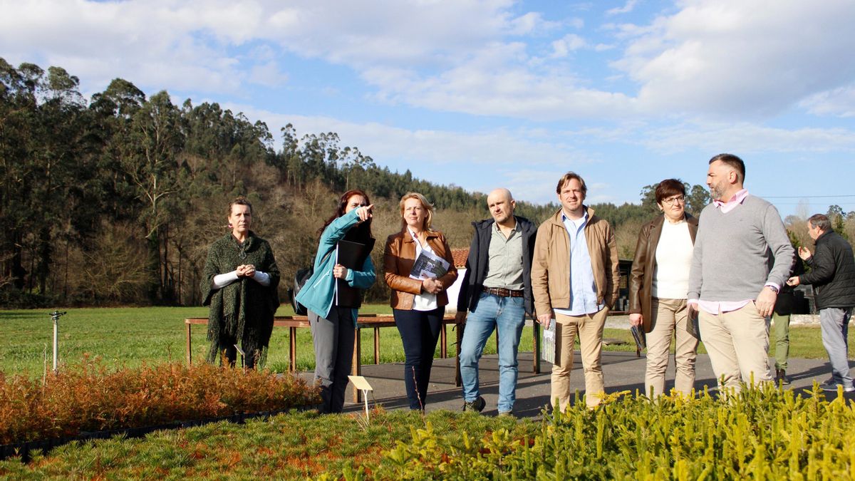 De maíz, kiwi y arándano a tinto y aguacate: así afecta a las plantaciones el cambio del clima en Cantabria
