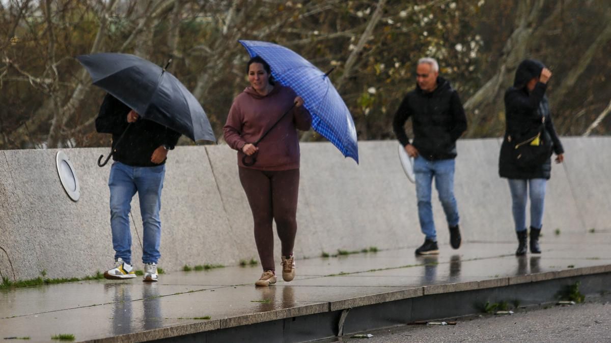 Toda la provincia de Córdoba, en aviso amarillo este viernes por fuertes vientos