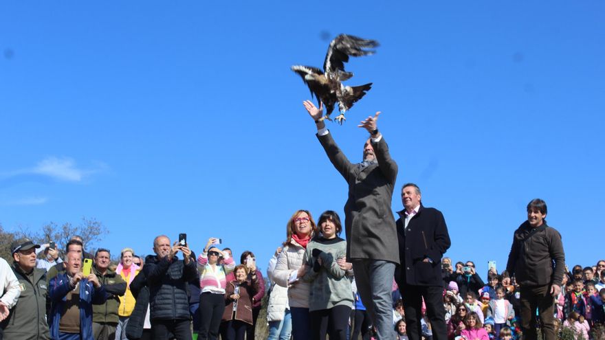 Suelta del águila imperial