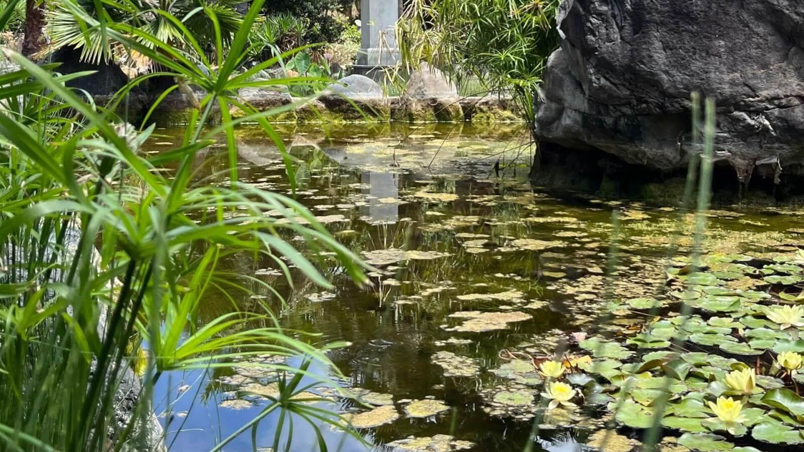 Jardín botánico.