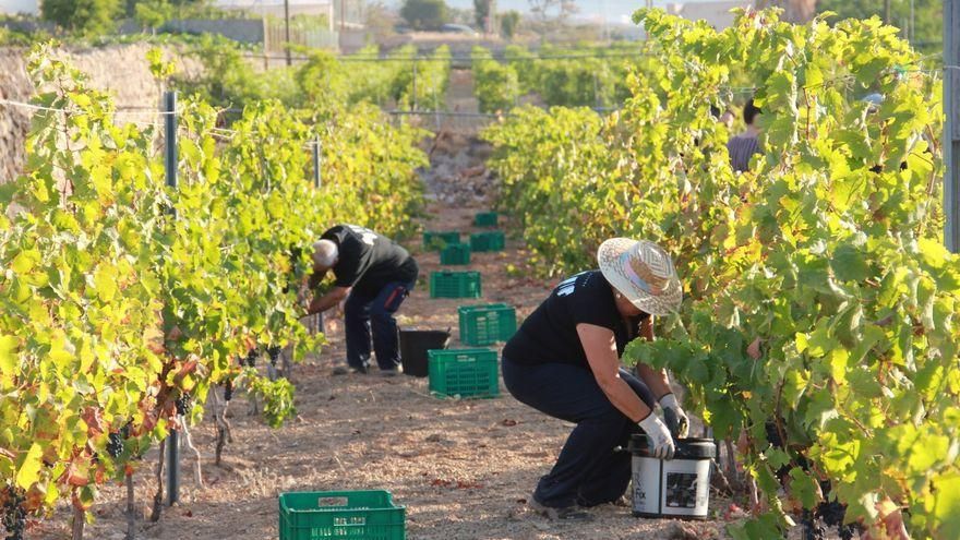 Canarias, la segunda comunidad con mayor aumento de contratos indefinidos tras la reforma laboral