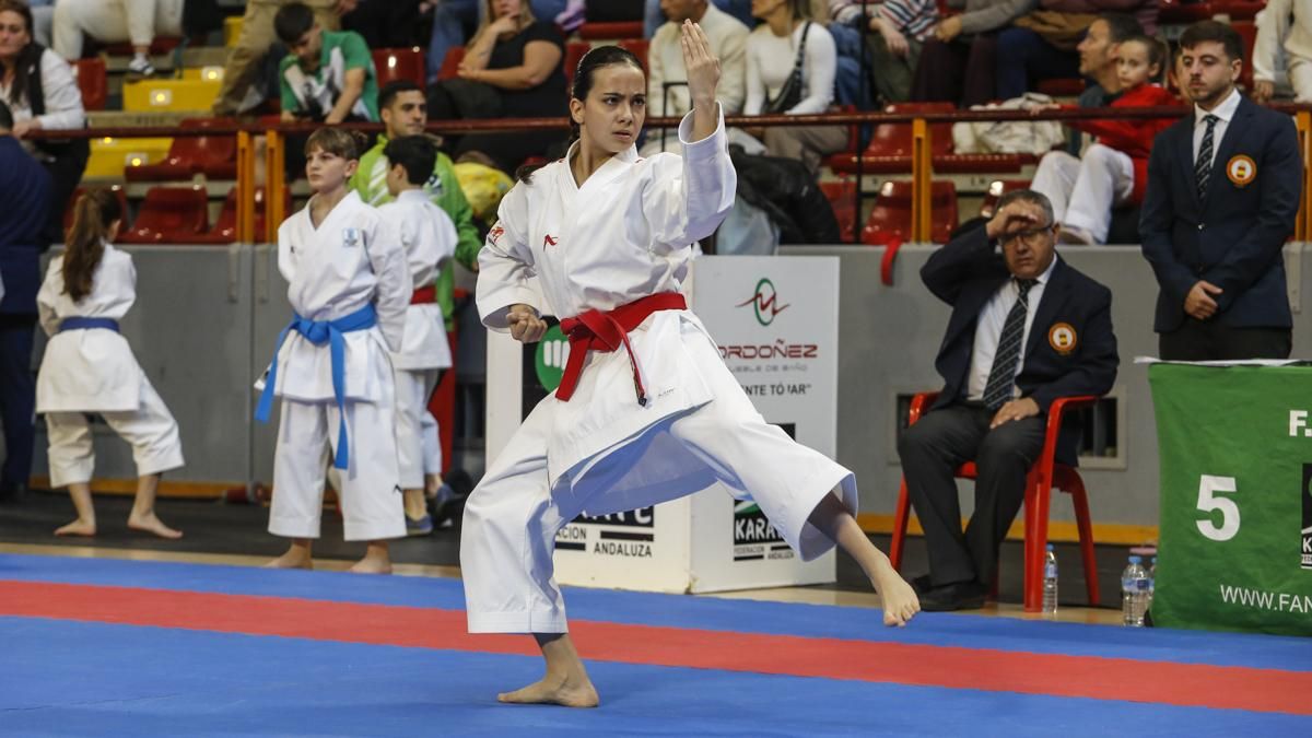Campeonato de Andalucía infantil de kárate