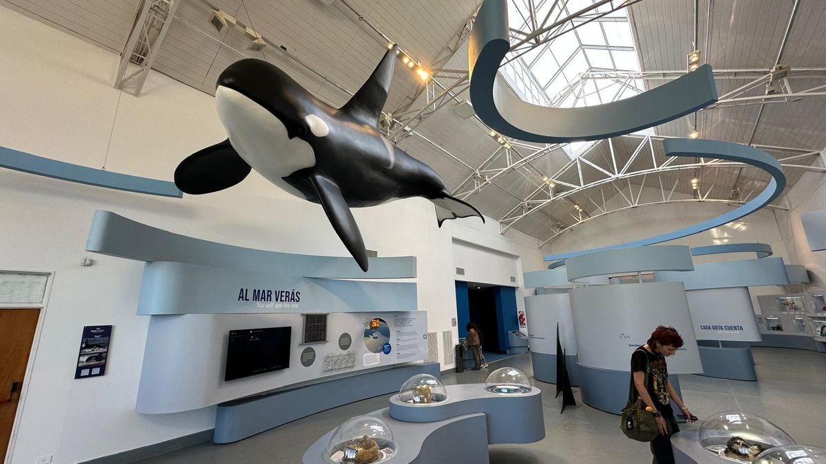 Ecocentro de Puerto Madryn. En esta zona de la costa argentina viven de manera permanente varias familias de orcas.