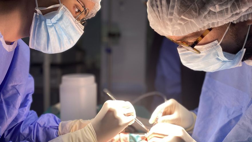 Un total de 26 donantes de órganos y 4 de tejidos hacen posible 226 trasplantes en Córdoba este año