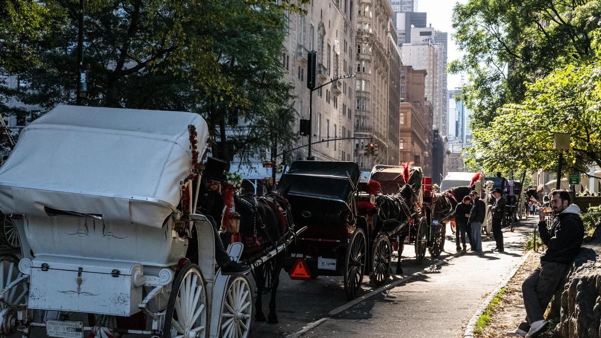 Nueva York prohíbe los paseos en coches de caballos en Central Park a raíz de la muerte de un adolescente que salió despedido de uno de ellos