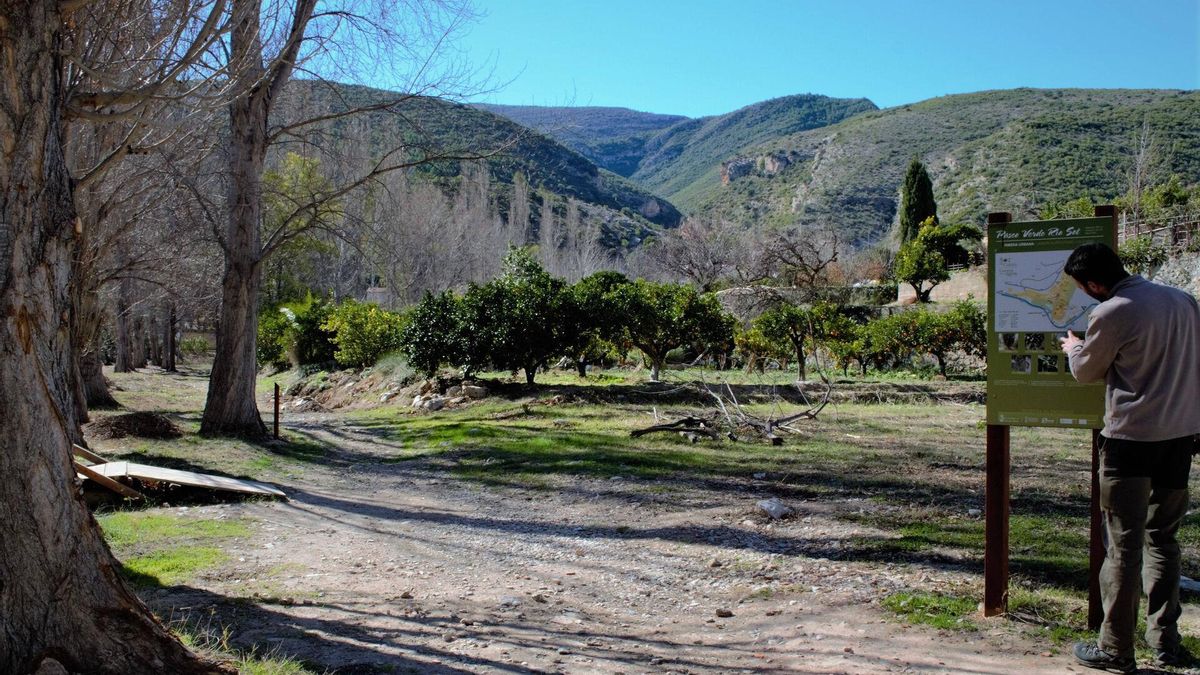 La ruta permite observar innumerables especies vegetales identificadas con varios carteles