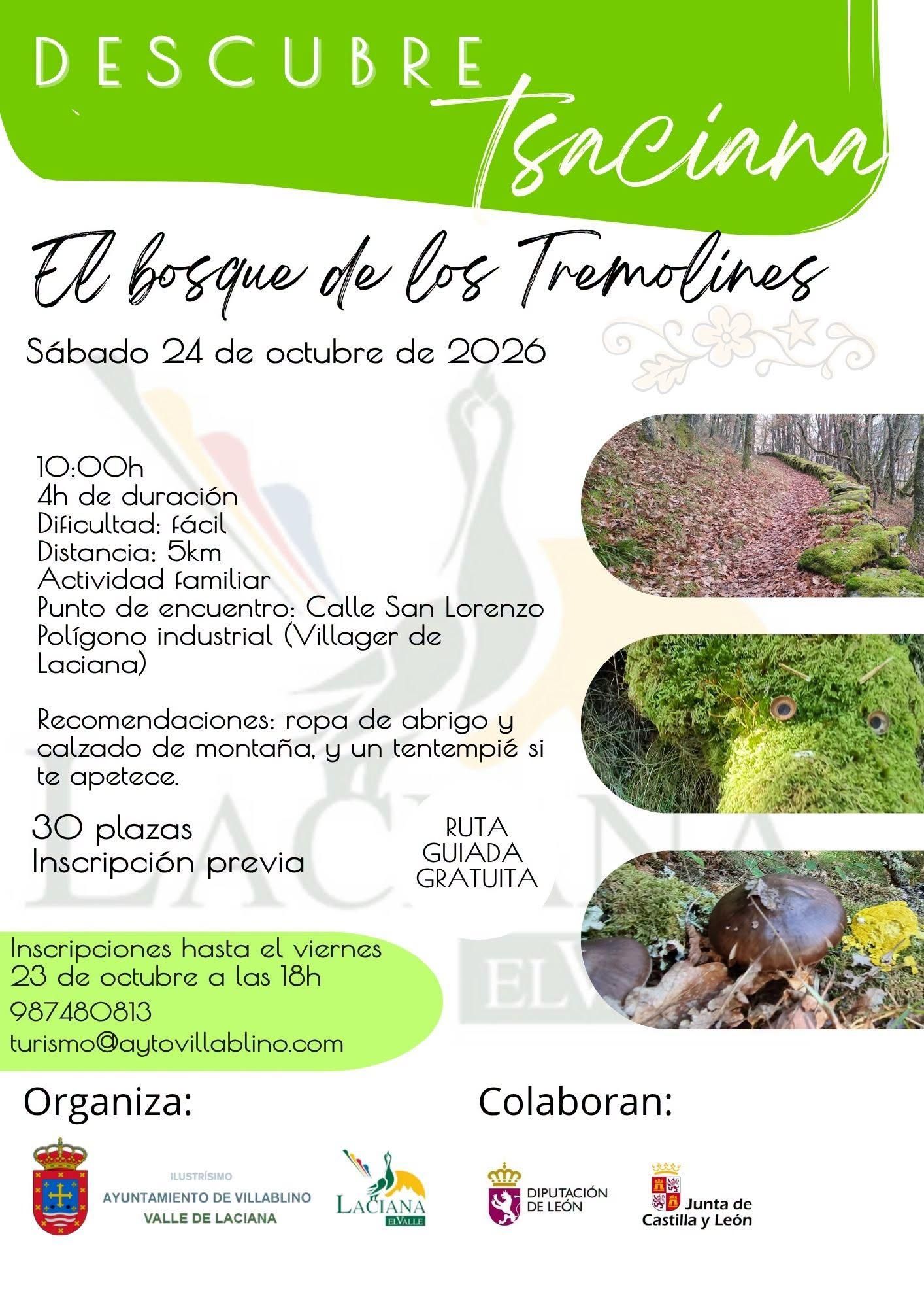 Nueva ruta por Laciana: El bosque de los Tremolines.