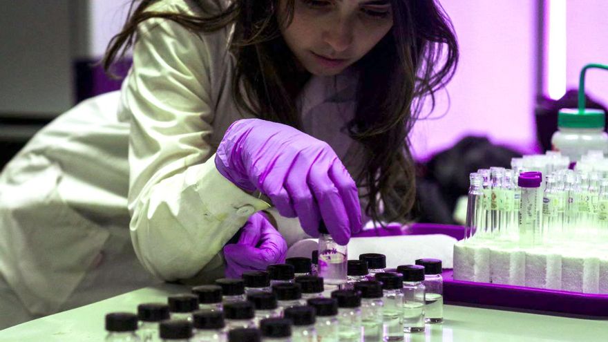 La Justicia tumba la trampa de varias universidades para pagar un tercio menos a cientos de investigadores