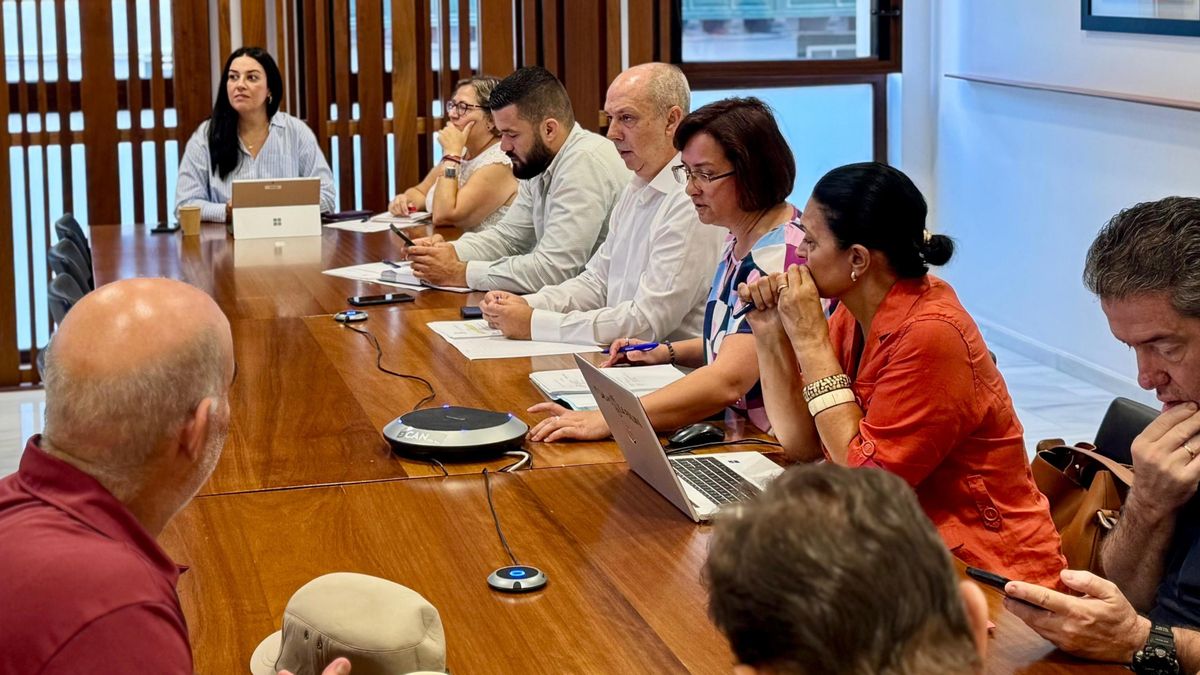 Autorizado el acceso a una nueva vivienda y un local en Puerto Naos.