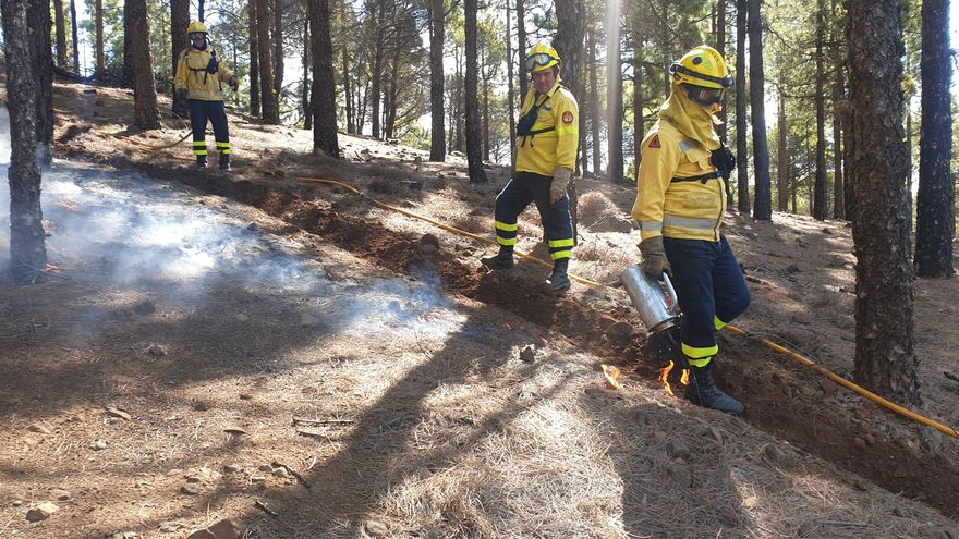 Primera quema prescrita del año en las cumbres de Gran Canaria.